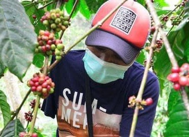 Amin, Petani Disabilitas Juragan Kopi Tledok Khas Magelang