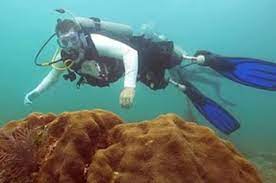 Scott Schroeder Penyelam dengan Kaki Katak Khusus