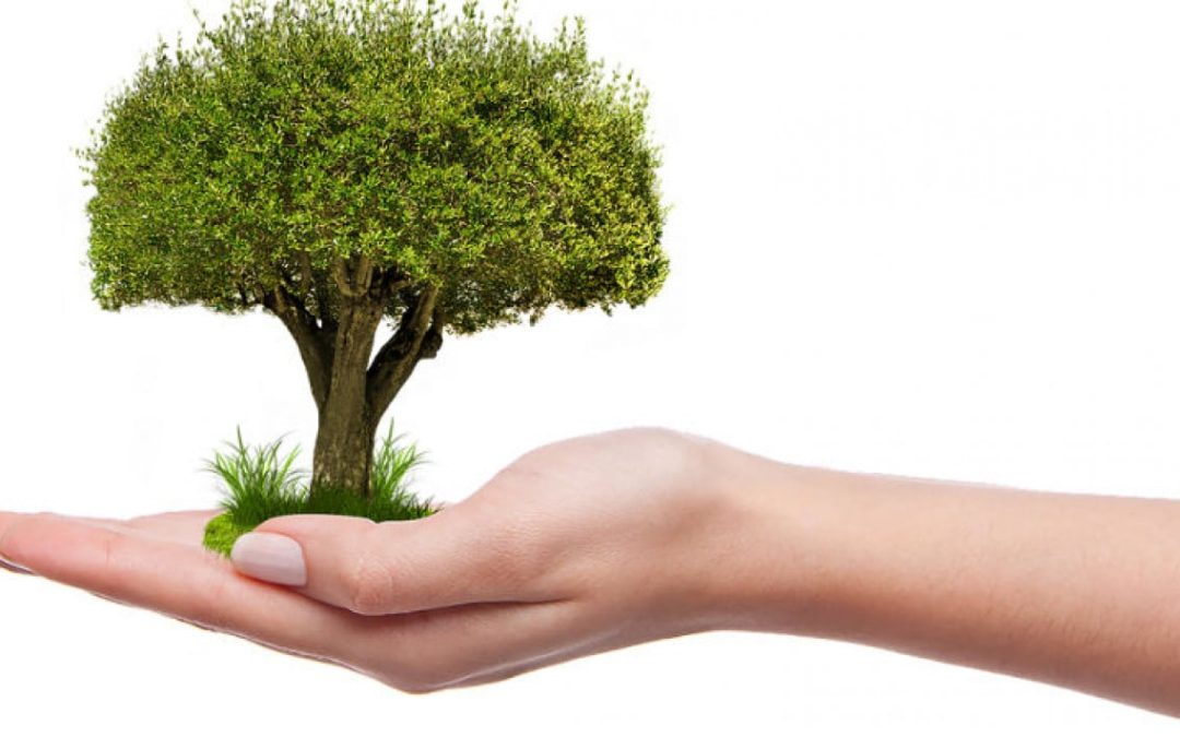 Kisah Dua Orang Difabel Menanam 10.000 Pohon