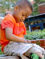 Zion Harvey: Bertahan dari Sepsis