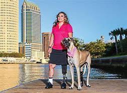 Teknologi Winter yang Membantu Maja