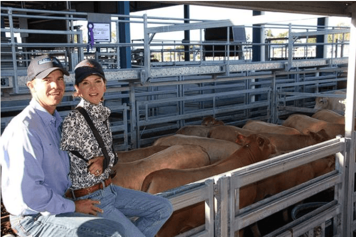 Gayle Shann: Bangkit Kembali dengan Cinta Tak Tergoyahkan